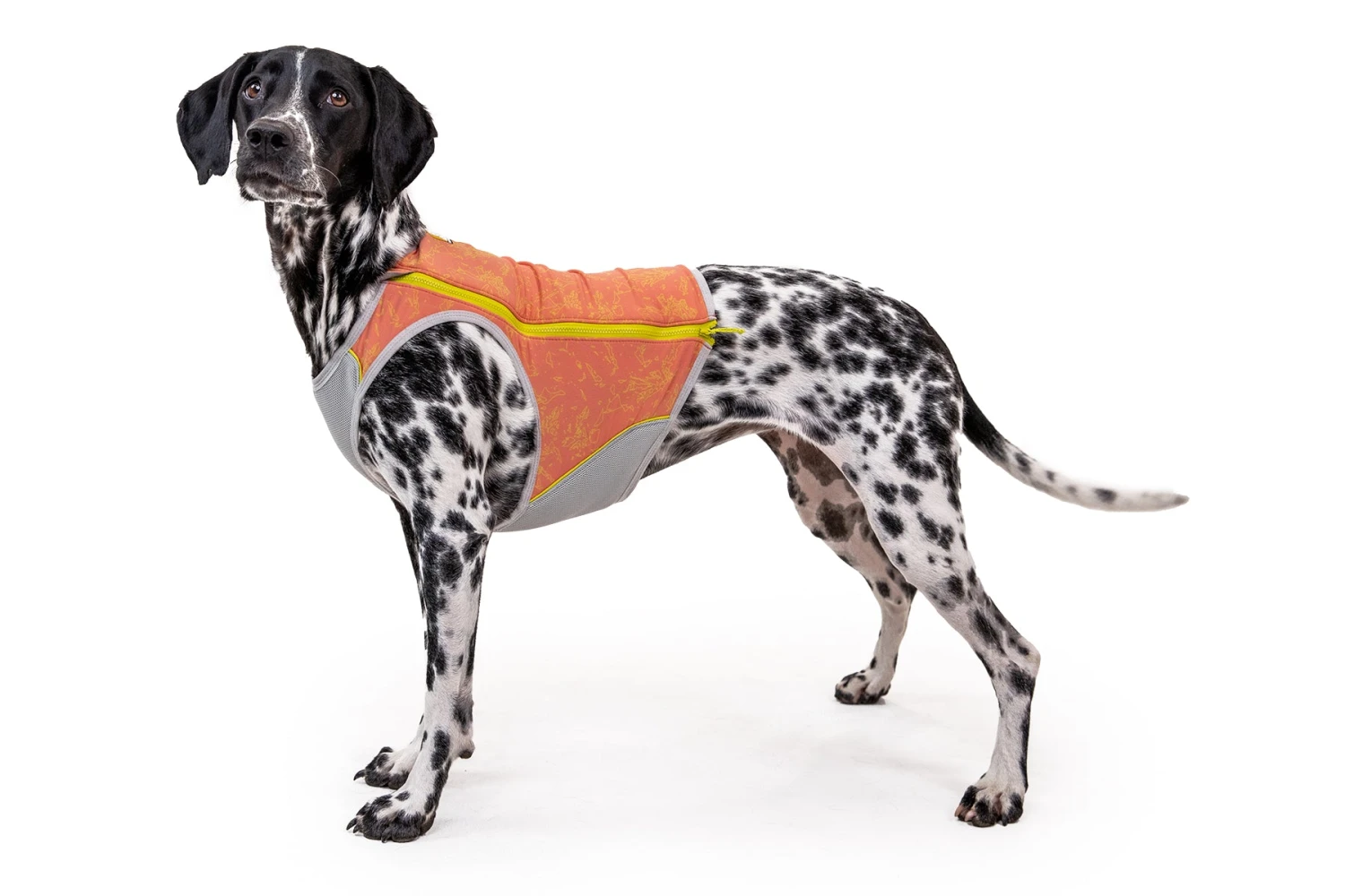 Gilet Rafraichissant Pour Chien Ruffwear Swamp Cooler 7 Gilet Rafraichissant Pour Chien Ruffwear Swamp Cooler – Image 7