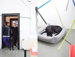 Panier Pour Chien Tweed Gris Clair Sleepy Deluxe -Chats Chiens Fournitures Magasin 14 Julia Ali Mogli Cloud7 Dog Bed Sleepy Deluxe