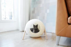 La Ball Meyou -Chats Chiens Fournitures Magasin 150803 03 007