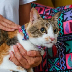 Noeud Papillon Pour Chat Mud Cloth -Chats Chiens Fournitures Magasin 210913H WSeptember2680 450x450 c900ed2b d738 45ee 91f5 c119ab031889