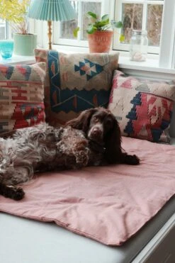 Duvet Pour Chien En Coton Bio -Chats Chiens Fournitures Magasin 2388073 47d67708dc17e3