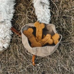 Bol De Voyage Pour Chien Pliable Melo Band & Roll -Chats Chiens Fournitures Magasin 244643768 2962370390642316 8361220037470814286 n