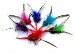 Canne à Pêche Pour Chat (jouets Interchangeables) 8 Canne à Pêche Pour Chat (jouets Interchangeables) -Chats Chiens Fournitures Magasin 811MKjGw3LL. SL1500