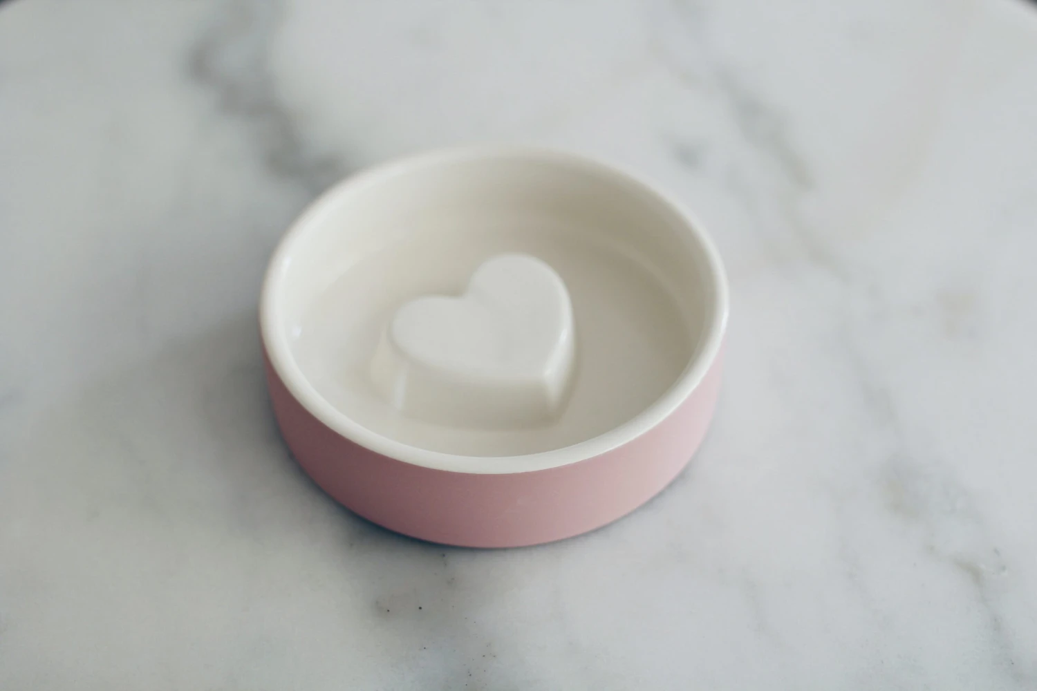 Bol Anti-glouton Pour Chat Et Petit Chien 4 Bol Anti-glouton Pour Chat Et Petit Chien – Image 4