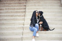 Collier Pour Chien Out Of My Box (2 Couleurs) 7 Collier Pour Chien Out Of My Box (2 Couleurs) -Chats Chiens Fournitures Magasin Anne Timmer seescoutsleep 230