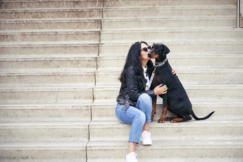 Collier Pour Chien Out Of My Box (2 Couleurs) 3 Collier Pour Chien Out Of My Box (2 Couleurs) – Image 3