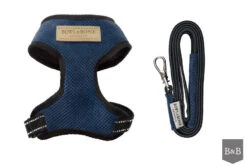 Harnais Candy Avec Laisse -Chats Chiens Fournitures Magasin BowlAndBone Republic harness for dog CANDY set blue PS1S