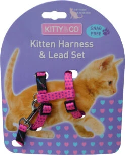 Harnais Et Laisse à Pois Pour Chaton -Chats Chiens Fournitures Magasin CH4202 Spotty Pink Kitten Harness LR