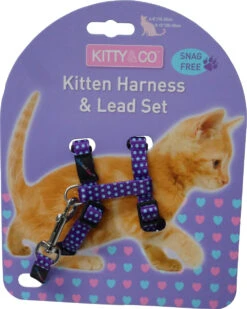 Chats Chiens Fournitures Magasin -Chats Chiens Fournitures Magasin CH4202 Spotty Purple Kitten Harness LR