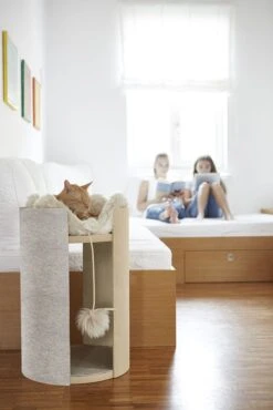 Coussin Pour Chat Pour Arbre à Chat Torre -Chats Chiens Fournitures Magasin ClimbTorre4 42f1dace 9ee6 4894 9e46 153489d23a5d