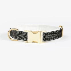 Laisse Pour Chien Chef L’Bark Noir Et Crème 5 Laisse Pour Chien Chef L’Bark Noir Et Crème -Chats Chiens Fournitures Magasin Collar Brass ChefLBark BlackCream 8ce324f1 d890 4f8e 9091 5c13b0703791