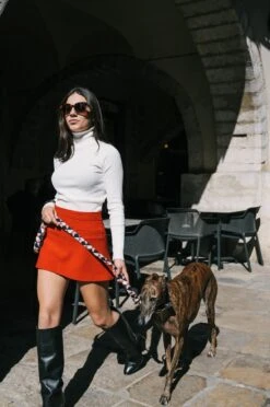 Collier Pour Chien Riells 7 Collier Pour Chien Riells -Chats Chiens Fournitures Magasin DSC5857 copie