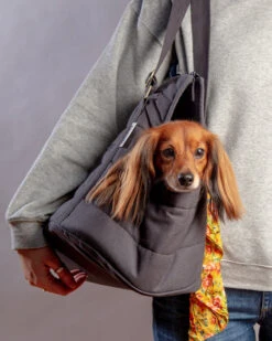 Sac De Transport Pour Chien (max 15kg) -Chats Chiens Fournitures Magasin Dog Co 1C5A2503 1024x1024 ec76c171 e2f0 4f46 aef7 454befbacd88