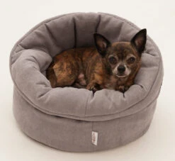 Panier Polyvalent Shopper 14 Panier Polyvalent Shopper -Chats Chiens Fournitures Magasin Hundekoerbchen Little Basket 2