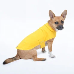 Imperméable Pour Petit Chien Microfibres -Chats Chiens Fournitures Magasin Jolie Dog Arthur yellow1 grande 69966b65 6e70 4b5e 99b8 68053ddf003b