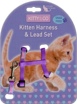 Harnais Réglable Et Laisse Pour Chaton -Chats Chiens Fournitures Magasin Kitty Co Snag Free Purple Kitten Harness Lead Set