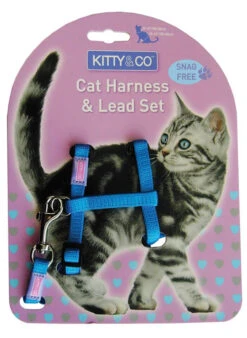 Chats Chiens Fournitures Magasin -Chats Chiens Fournitures Magasin Kitty and Co Blue Cat Harness Lead Set