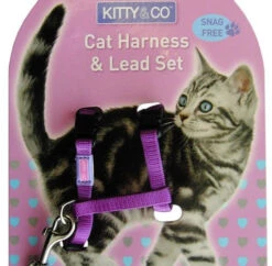Harnais Et Laisse Couleur Unie Pour Chat -Chats Chiens Fournitures Magasin Kitty and Co Snag Free Purple Cat Harness Lead Set 510x500 1