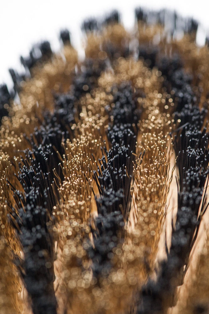 Brosse Pour Poils Courts Lila Loves It 3 Brosse Pour Poils Courts Lila Loves It – Image 3