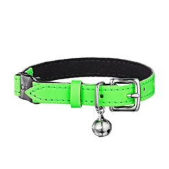 Collier Pour Chat Réfléchissant Lumino Lux -Chats Chiens Fournitures Magasin LimeGreenandBlack 1800x1800 cc963e91 e60c 4d58 89a0 aeaa93400b13