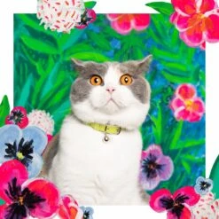 Collier Pour Chat En Cuir Louis Wain -Chats Chiens Fournitures Magasin LouisWain CheshireAndWain RachelOates Green Cat Collar 1800x1800 5e935efb caa2 4d8e bba9 d3451f03f747