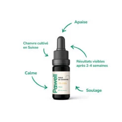 Huile De CBD Pour Chien 2,5%, 5%, 7% -Chats Chiens Fournitures Magasin MC H2 500x c2e997c6 6b53 4123 aab3 9af63c83a97e