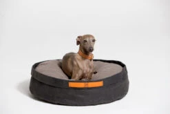 Coussin Pour Chat Et Chien Irvin (3 Couleurs) -Chats Chiens Fournitures Magasin MG 0671