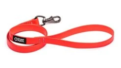 Laisse Biothane Imperméable (5 Couleurs) -Chats Chiens Fournitures Magasin MG 6374 720x 7a40f1a5 4769 433b bc0a 509f883c9200