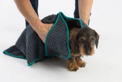 Serviettes Absorbante Sally 8 Serviettes Absorbante Sally -Chats Chiens Fournitures Magasin MG 8502