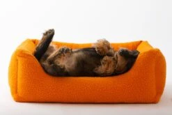 Panier Henri En Laine Casentino Duepuntootto -Chats Chiens Fournitures Magasin MG 8704