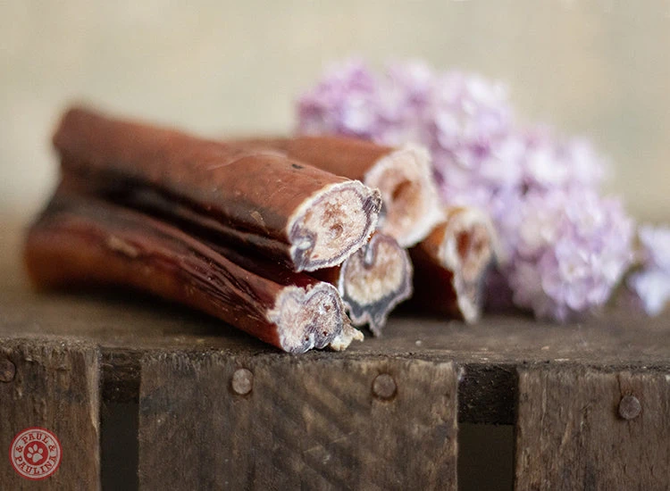 Nerf De Boeuf Mini Paul & Paulina 1 Nerf De Boeuf Mini Paul & Paulina