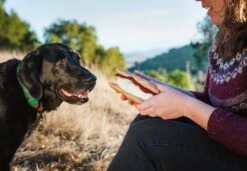 PLAY Peluche Pour Chien Sandwich Gimme S'mores 6 PLAY Peluche Pour Chien Sandwich Gimme S'mores -Chats Chiens Fournitures Magasin PLAY LC 0971 web