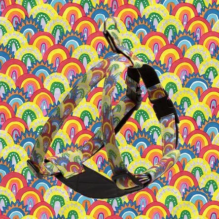 Harnais Pour Chien Over The Rainbow 2 Harnais Pour Chien Over The Rainbow – Image 2