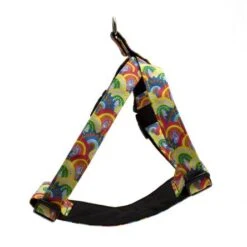 Harnais Pour Chien Over The Rainbow 5 Harnais Pour Chien Over The Rainbow -Chats Chiens Fournitures Magasin RHA6 444x445 f18b60fb b7ff 448c affd 424b89b4d741
