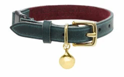 Collier En Cuir Pour Chat Rigby