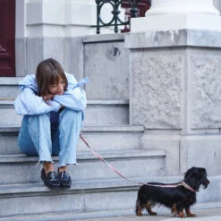 Collier Pour Chien Chef L’Bark Rouge Et Crème 5 Collier Pour Chien Chef L’Bark Rouge Et Crème -Chats Chiens Fournitures Magasin Scene CheflBark Firered 07