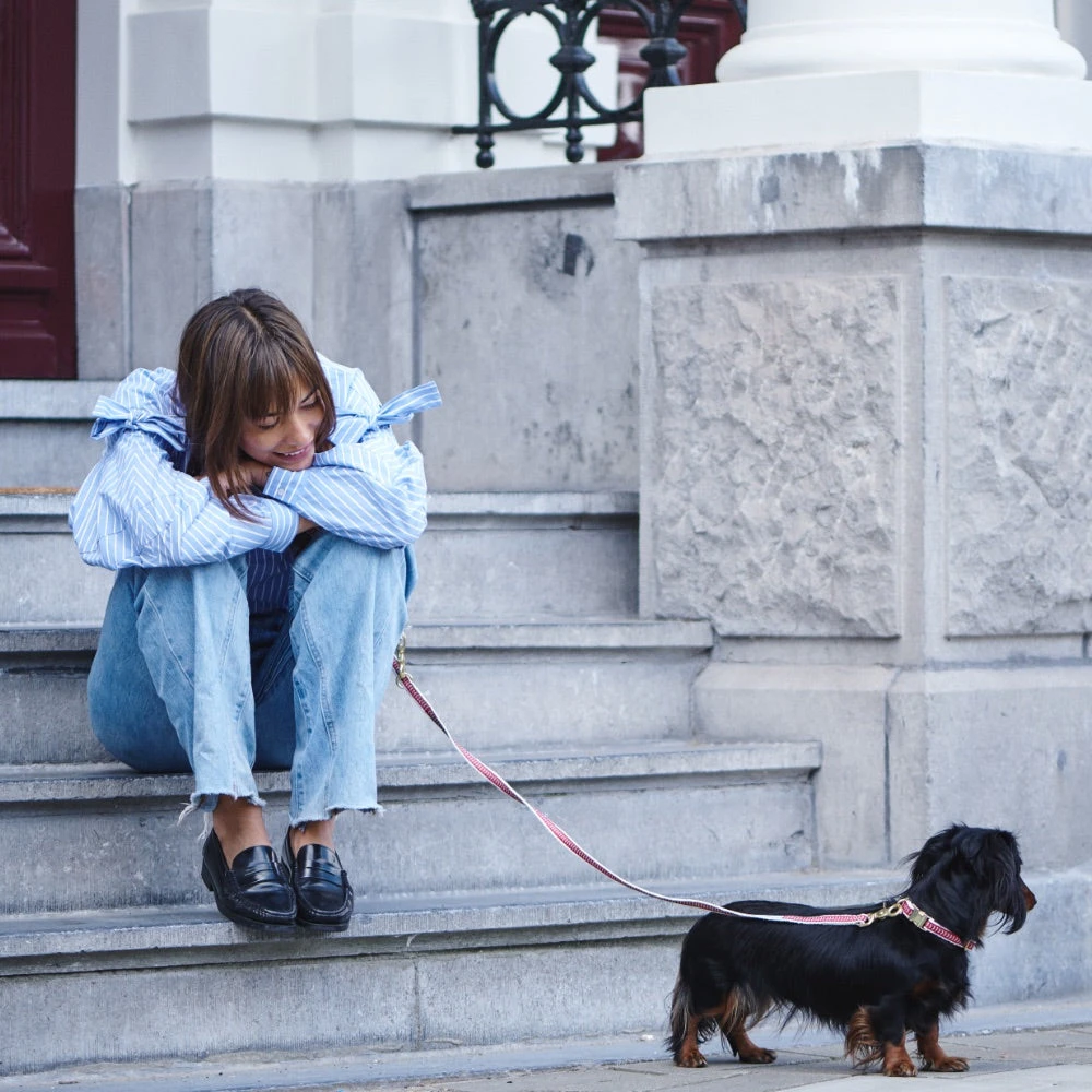 Collier Pour Chien Chef L’Bark Rouge Et Crème 3 Collier Pour Chien Chef L’Bark Rouge Et Crème – Image 3