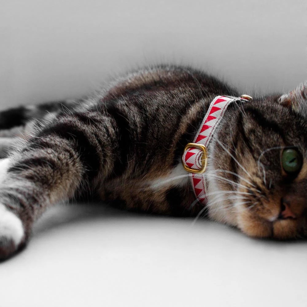 Collier Pour Chat Nice Grill Rouge Et Crème 2 Collier Pour Chat Nice Grill Rouge Et Crème – Image 2