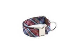 Collier Pour Chien Gosol