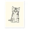 Affiche Décorative A4 Chaton