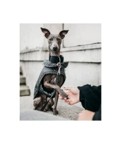 Manteau Pour Lévriers -Chats Chiens Fournitures Magasin abrigo grey and ribes principe de gales brott