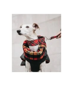 Manteau D'hiver Pour Lévriers -Chats Chiens Fournitures Magasin abrigo para galgo de cuadros tartan de color naranja b0531385 3054 4baa 8039 25d6d8145021