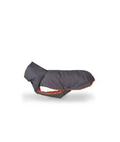 Manteau D'hiver Pour Lévriers -Chats Chiens Fournitures Magasin abrigo para galgo hypster de color gris y textura er 36910fd3 1758 4f83 b51a 8eeeb41606ff