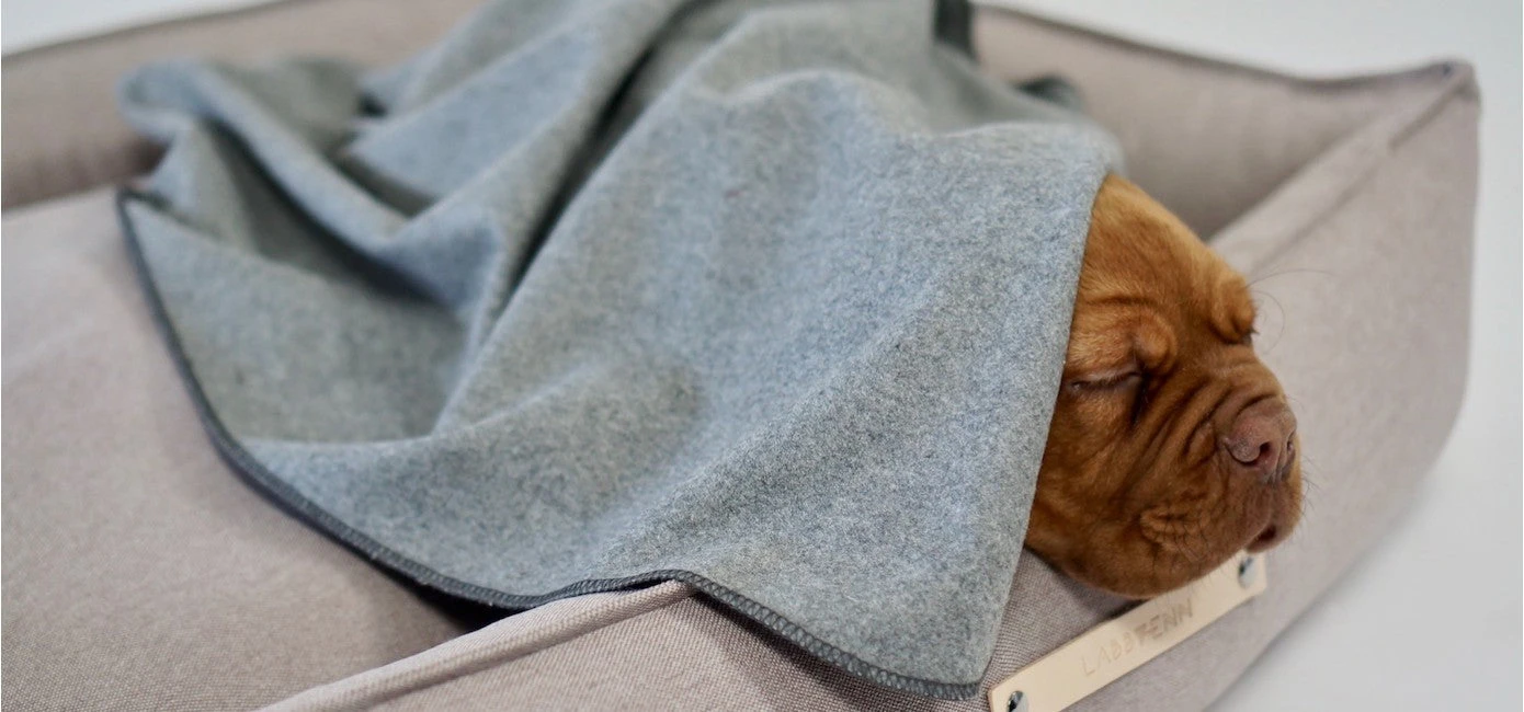 Couverture En Laine Grise Asnen 2 Couverture En Laine Grise Asnen – Image 2