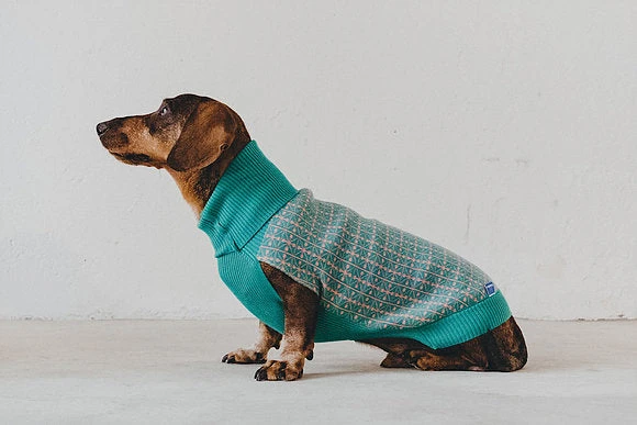 Pull Lisbonne Vert 1 Pull Lisbonne Vert