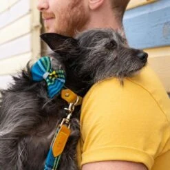 Noeud Papillon Pour Chien Shuka Blue -Chats Chiens Fournitures Magasin bowtie 621x621 06539c95 8a13 4e9c b5b3 6f21f0c90d94