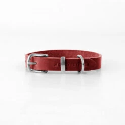 Collier Pour Chien En Cuir Souple The Classic -Chats Chiens Fournitures Magasin butter dog collar chili red 85f38e12 99cf 4ddd baa0 19187e81ad6a