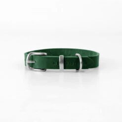 Collier Pour Chien En Cuir Souple The Classic -Chats Chiens Fournitures Magasin butter dog collar forest green 08f3e88f fa38 4ab2 8695 aa3e45bb41b1