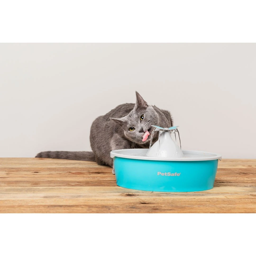 PetSafe Fontaine à Eau Butterfly Drinkwell 2 PetSafe Fontaine à Eau Butterfly Drinkwell – Image 2