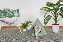 Chats Chiens Fournitures Magasin -Chats Chiens Fournitures Magasin cattipi scene green lowres preview scaled